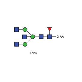 FA2B glycan (G0B), 2-AA labelled