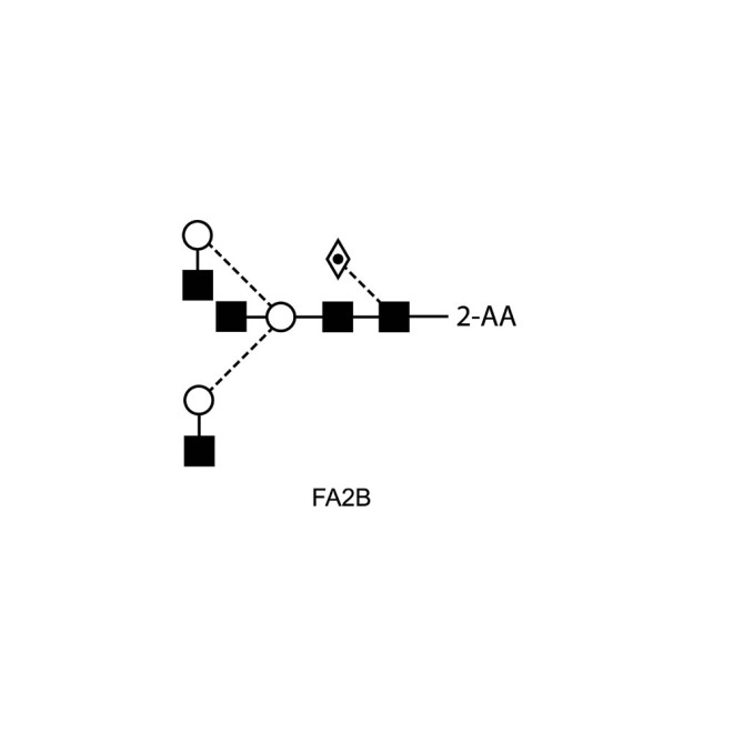 FA2B glycan (G0B), 2-AA labelled