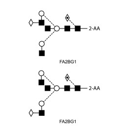 FA2BG1 glycan (G1B), 2-AA labelled
