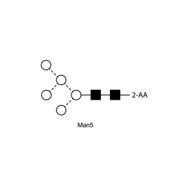 Man-5 glycan, 2-AA labelled