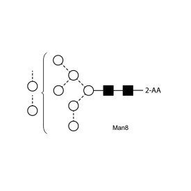 Man-8 glycan, 2-AA labelled