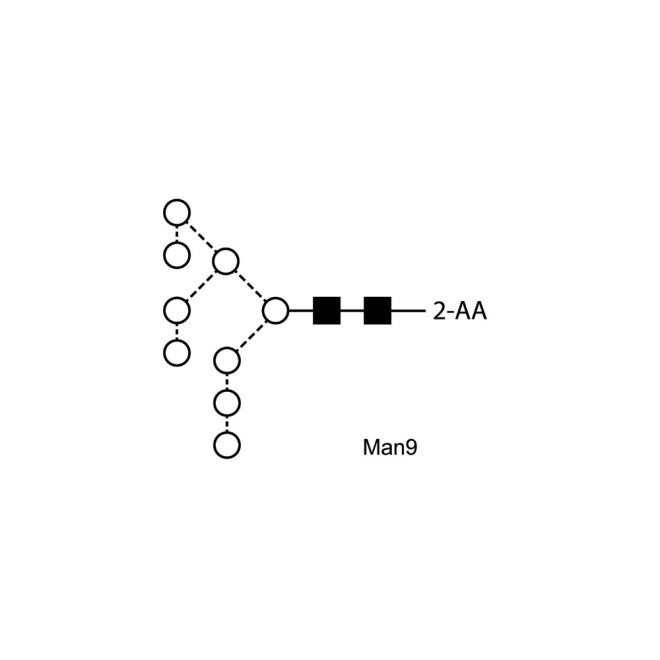 Man-9 glycan, 2-AA labelled