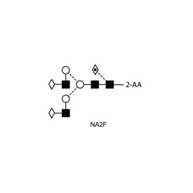 NA2F glycan (FA2G2, G2F), 2-AA labelled