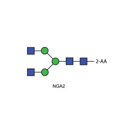 NGA2 glycan (A2, G0), 2-AA labelled
