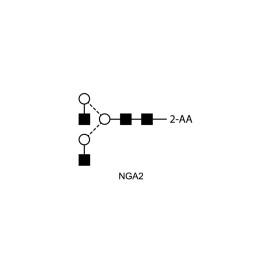 NGA2 glycan (A2, G0), 2-AA labelled