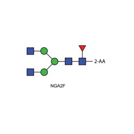NGA2F glycan (FA2, G0F), 2-AA labelled