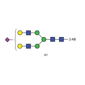 A1 glycan (A2G2S1, G2S1), 2-AB labelled