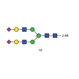 A2 glycan (A2G2S2, G2S2), 2-AB labelled