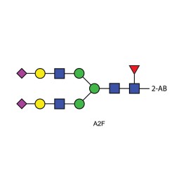 A2F glycan (FA2G2S2, G2FS2), 2-AB labelled