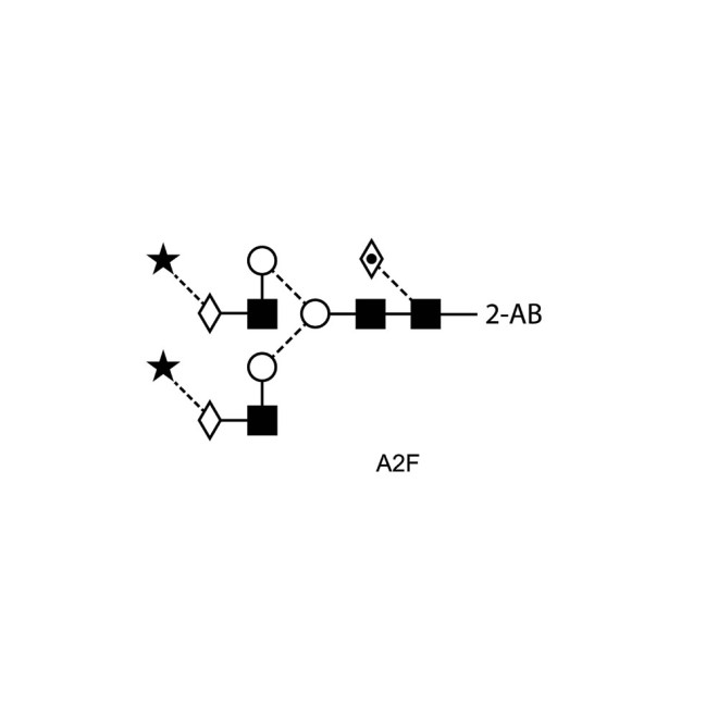 A2F glycan (FA2G2S2, G2FS2), 2-AB labelled