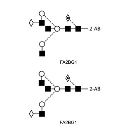 FA2BG1 glycan (G1B), 2-AB labelled