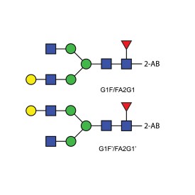 FA2G1 glycan (G1F), 2-AB labelled