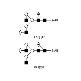FA2G1 glycan (G1F), 2-AB labelled