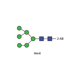 Man-6 glycan, 2-AB labelled