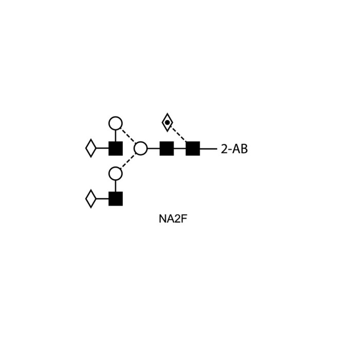 NA2F glycan (FA2G2, G2F), 2-AB labelled