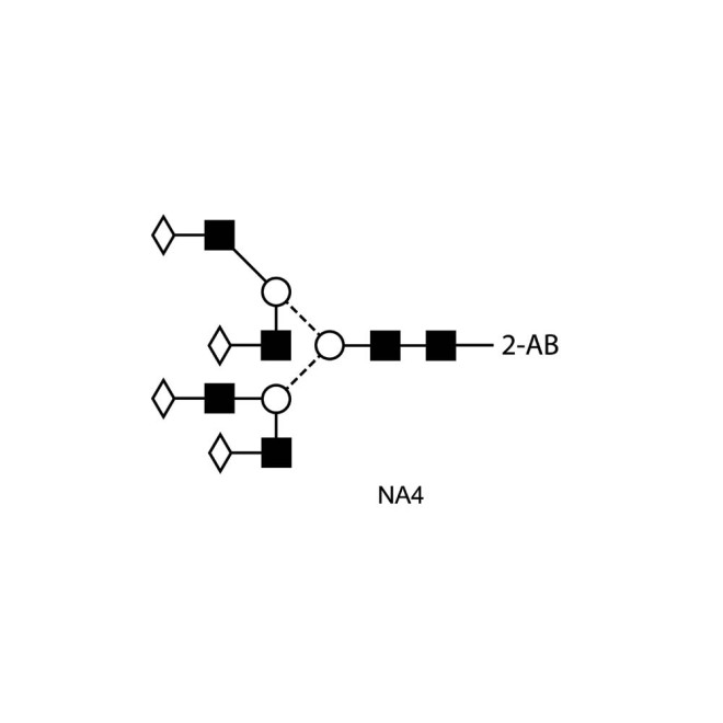 NA4 glycan (A4G4), 2-AB labelled