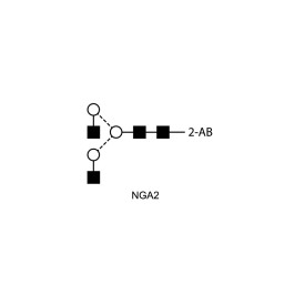 NGA2 glycan (A2, G0), 2-AB labelled