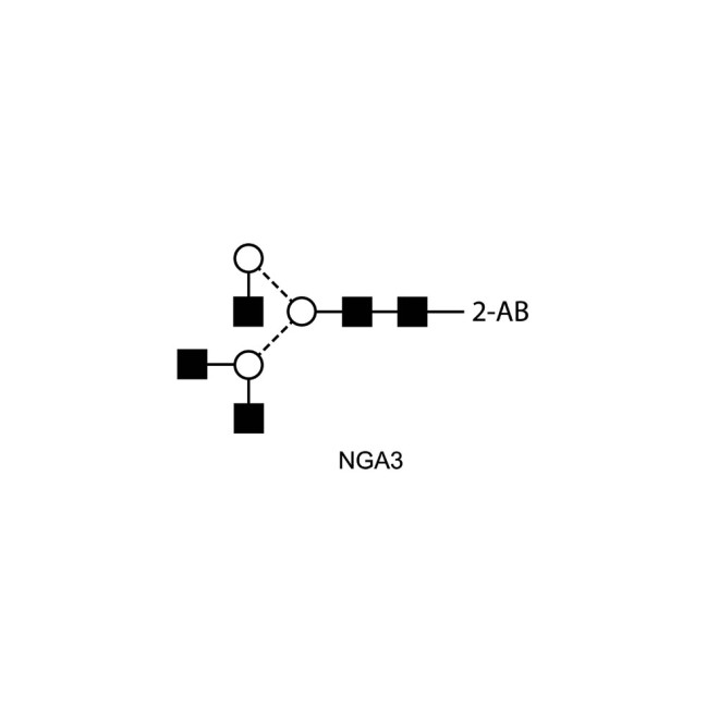 NGA3 glycan (A3), 2-AB labelled