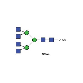 NGA4 glycan (A4), 2-AB labelled