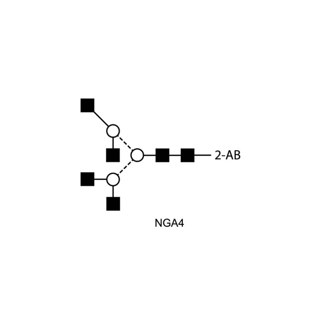 NGA4 glycan (A4), 2-AB labelled
