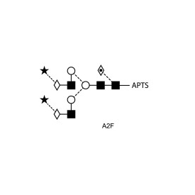 A2F glycan (FA2G2S2, G2FS2), APTS labelled