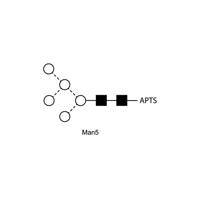 Man-5 glycan, APTS labelled