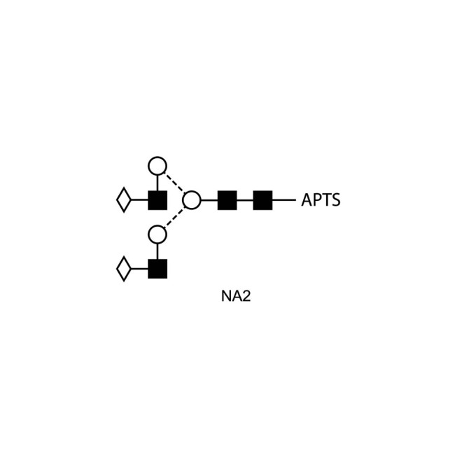 NA2 glycan (A2G2, G2), APTS labelled