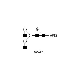 NGA2F glycan (FA2, G0F), APTS labelled