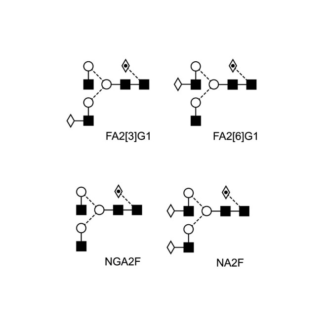 Monoclonal Antibody Reference Standards