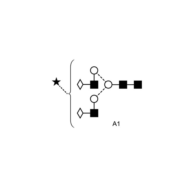 A1 glycan (A2G2S1, G2S1)