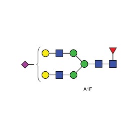 A1F glycan (FA2G2S1, G2FS1)