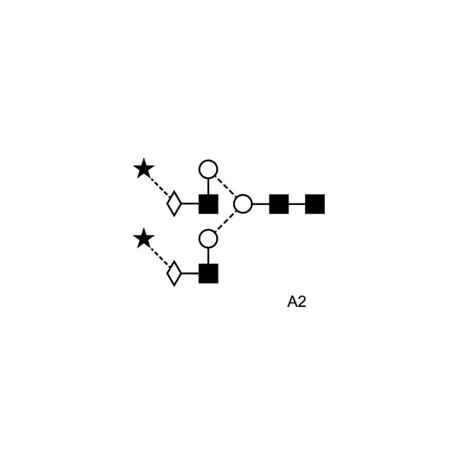 A2 glycan (A2G2S2, G2S2)