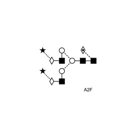 A2 glycan (A2G2S2, G2S2)