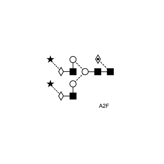 A2 glycan (A2G2S2, G2S2)