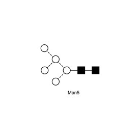 Man-5 glycan