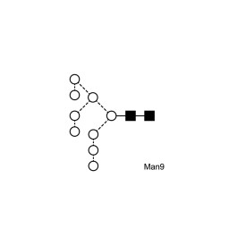 Man-9 glycan