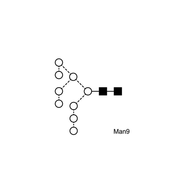 Man-9 glycan