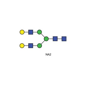 NA2 glycan (A2G2, G2)