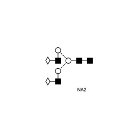 NA2 glycan (A2G2, G2)