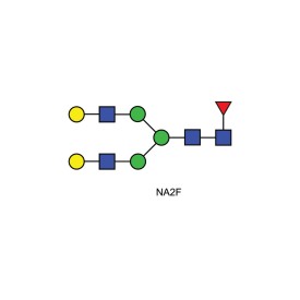 NA2F glycan (FA2G2, G2F)