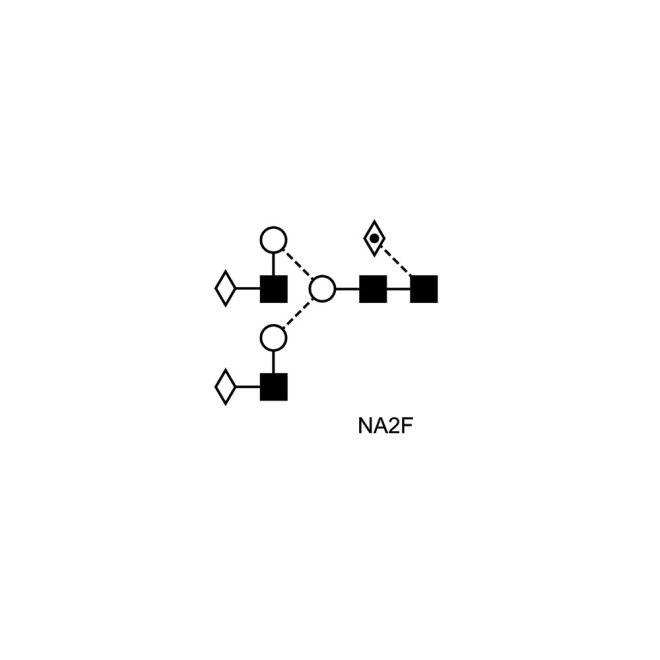 NA2F glycan (FA2G2, G2F)