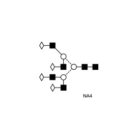 NA4 glycan (A4G4)