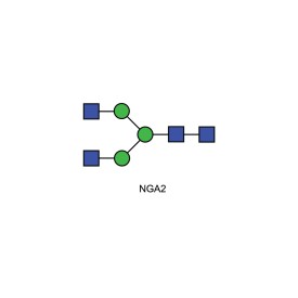 NGA2 glycan (A2, G0)