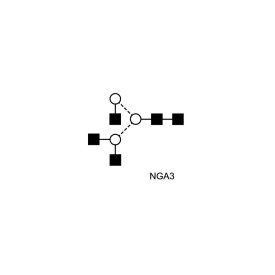 NGA3 glycan (A3)