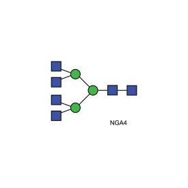 NGA4 glycan (A4)