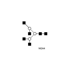 NGA4 glycan (A4)