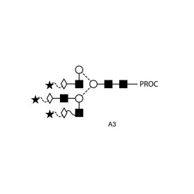 A3 glycan (A3G3S3), procainamide labelled