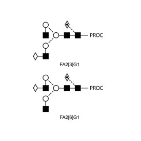 FA2G1 glycan (G1F), procainamide labelled