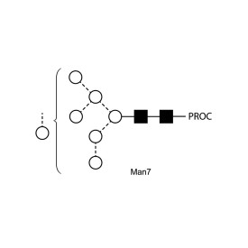 Man-7 glycan, procainamide labelled