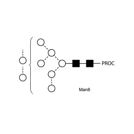 Man-8 glycan, procainamide labelled